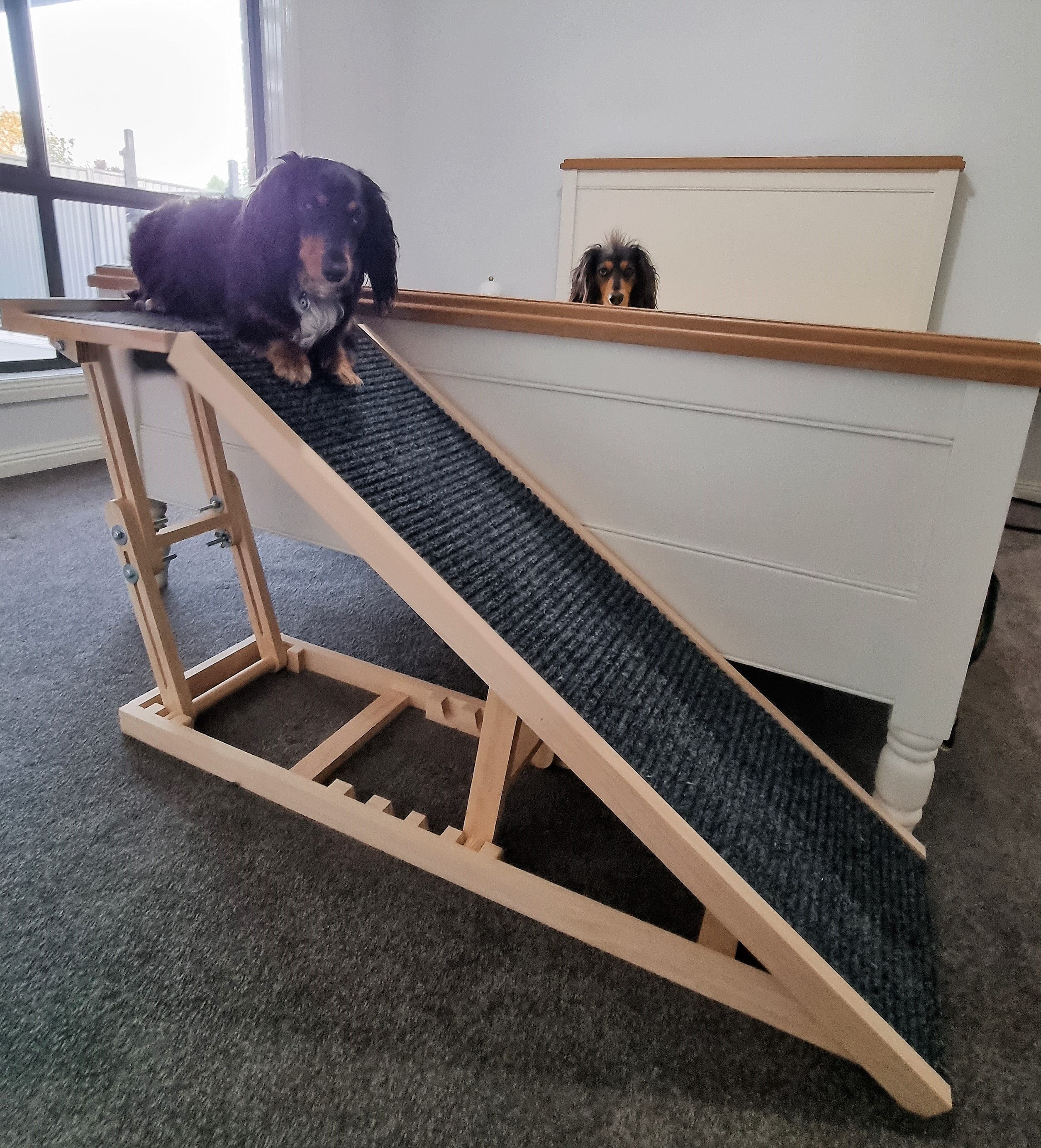 Dog ramp best sale with platform